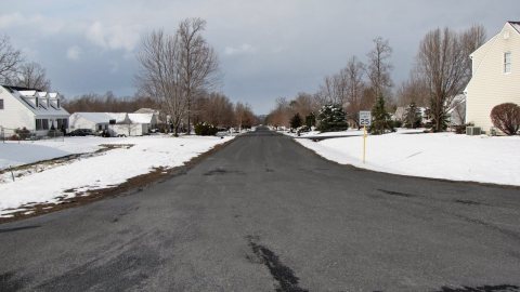 Forest Springs Drive