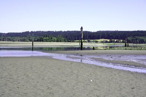 Low tide at