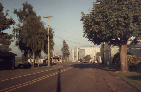 Edison in Skagit County before school was rebuilt