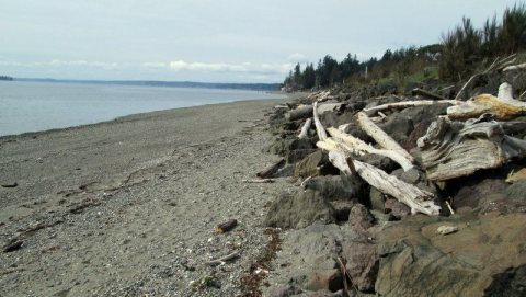Purdy Sand Spit