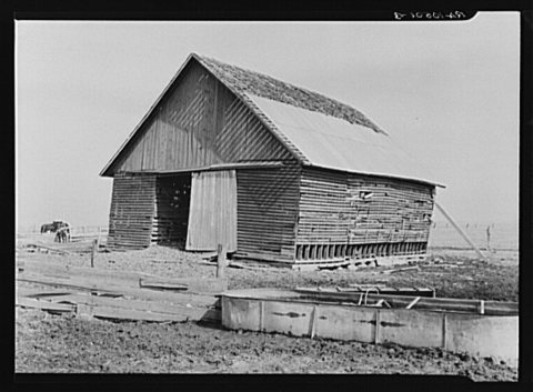 Corn crib on William Keefe's owner-operated farm near Boswell, Benton County, Indiana. Three hundred twenty acres, heav…