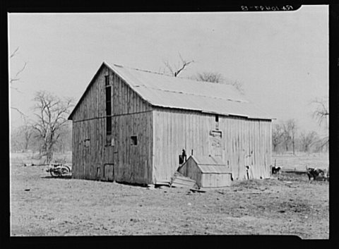 Barn on William Weltis' farm near Boswell, Indiana. This farm (fourteen hundred acres) is owner-operated under a heavy …