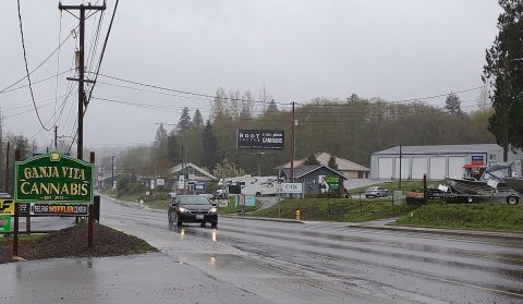 Belfair WA April 2019