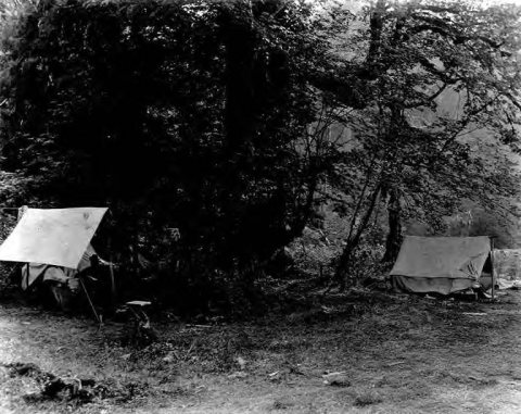 People camping at Quilcene, Washington, ca. 1898-1899