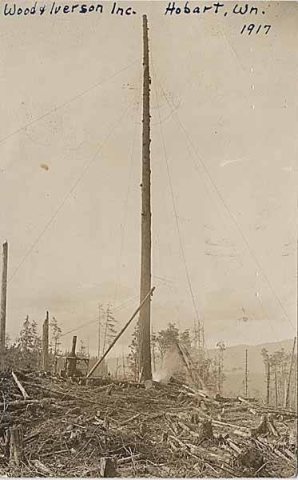High lead logging, Hobart, 1917