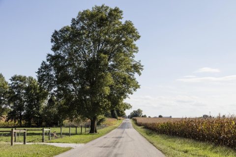Country road near the town of Flora in Carroll County, Indiana