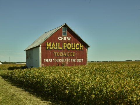 One of the westernmost surviving "Mail Pouch barns," near the town of Flora in Carroll County, Indiana