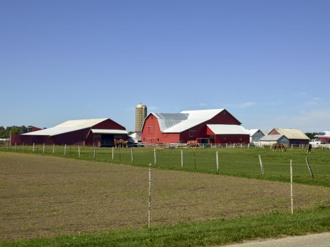 A tidy Amish farm, with the absence of electric wires entering the farmstead, near Topeka in LaGrange County, Indiana