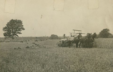 Threshing, 1910
