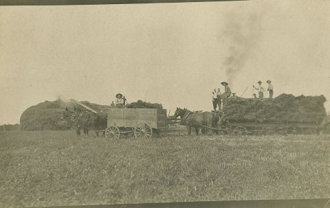 Threshing, 1910