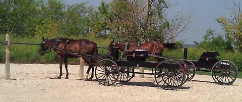 Buggies parked at McDonald's in