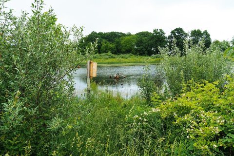 Wetland Reserve Easement (20220607-NRCS-BJOC-001)