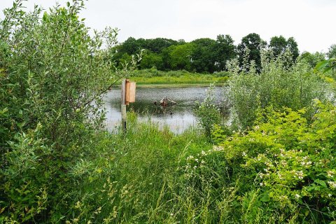 Wetland Reserve Easement (20220607-NRCS-BJOC-002)