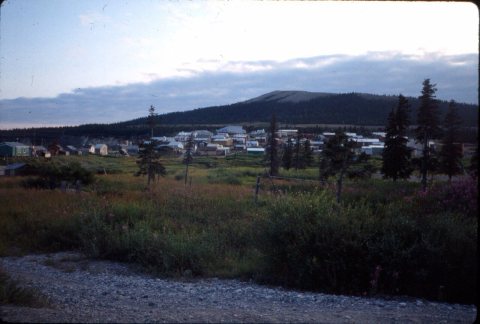 ElimAlaska