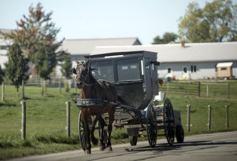 An Amish man guides his horse and buggy near Middlebury in Elkhart County, Indiana