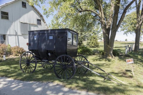 A traditional horse-drawn buggy on an Amish farm in Elkhart County, Indiana, near the town of Middlebury