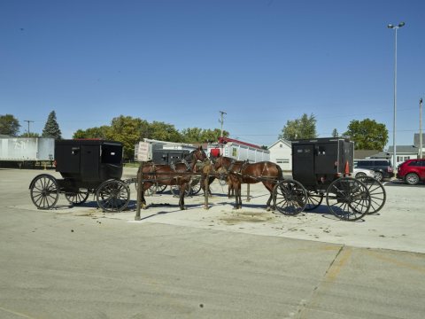 Amish buggies, "parked" in spaces reserved for horses and buggies in a grocery-store lot