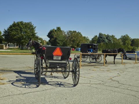 Amish buggies, "parked" in spaces reserved for horses and buggies in a grocery-store lot
