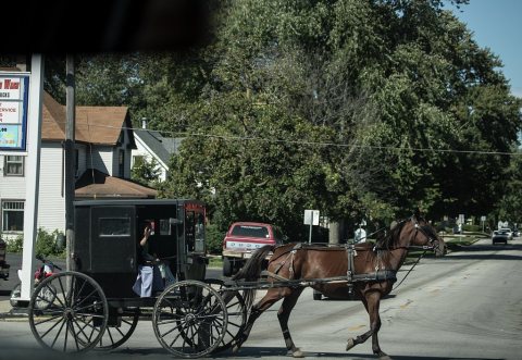 Amish people such as this woman in a horse-drawn buggy are often pictured in the countryside, but they also trade and t…