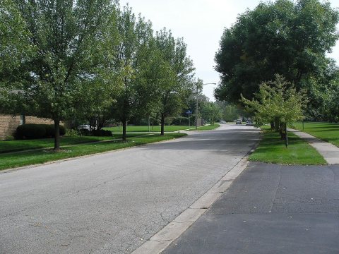 Munster - Camellia Drive