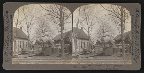 The great flood's toll