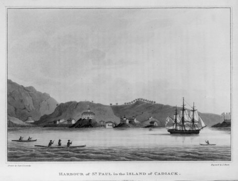 Harbor of St. Paul in the Island of Cadiack