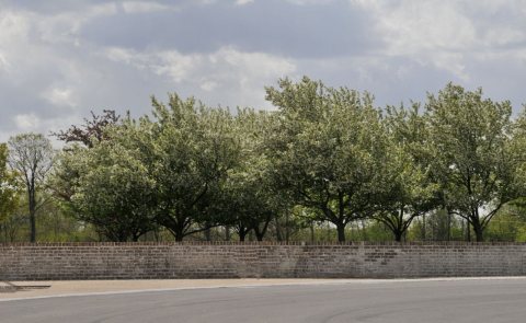 St. Catherine Church - Blooming trees