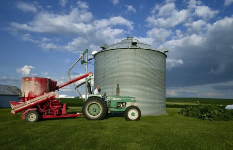 Dean Folkmann operates the family tractor on his and his wife, Julie's, hog farm in Benton County, near Newhall, Iowa