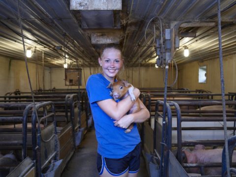 Daughter Katie cradles a piglet in the farrowing (birthing) shed at Dean and Julie Folkmann's hog farm in Benton County…