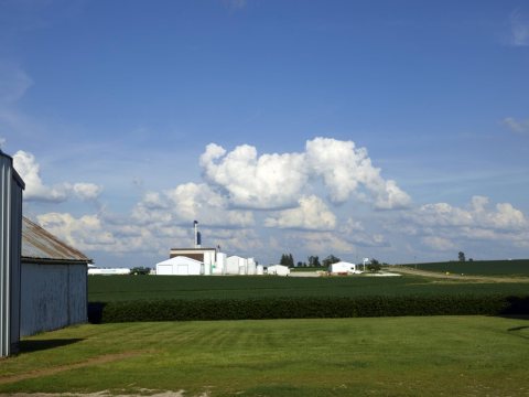 Lush soybean field on Dean and Julie Folkmann's hog farm in Benton County, near Newhall, Iowa