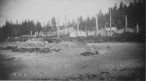 Buildings and totem poles as seen from the beach, Kaigani Village, Kasa-an, Skowl Bay, Alaska, 1885