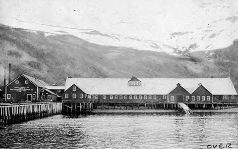 Chignik Cannery, Chignik, Alaska, between 1907 and 1915