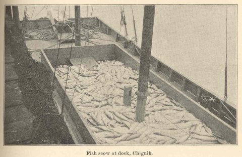 FMIB 38716 Fish Scow at Dock