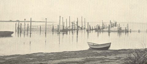 FMIB 38816 Pound Net in Chignik Bay