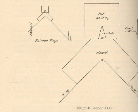 FMIB 38817 Chignik Lagoon Trap
