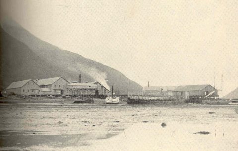 FMIB 38833 A P A Cannery at Chignik Bay