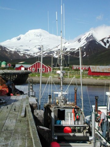 Falsepass ak peterpanstore dock2004