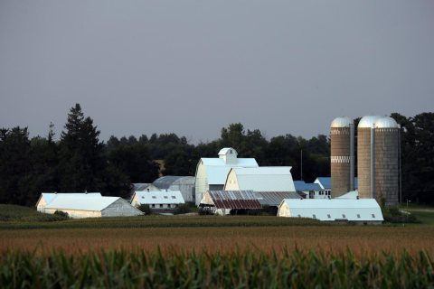A sprawling farmstead featuring many kinds, sizes, and colors of agricultural buildings near Dumont in Butler County, I…