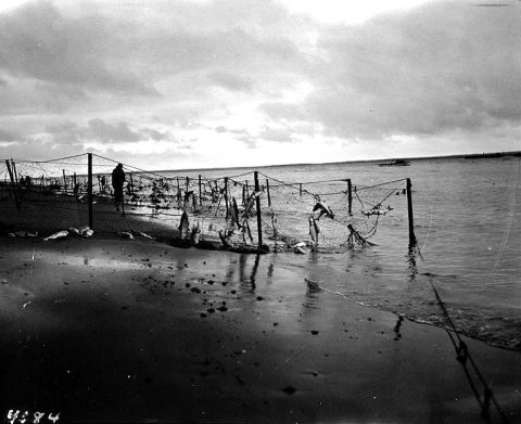 Eskimo fish traps, Egegik, Alaska, 1917