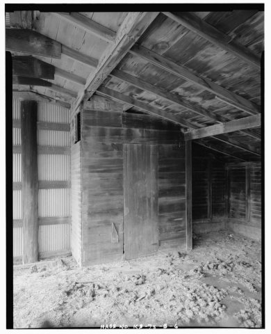 Detail of grain bin, interior of converted chicken house, looking west - Henry E. Williams Farmstead, Converted Chicken…