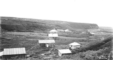 Village at Cold Bay, ca. 1912
