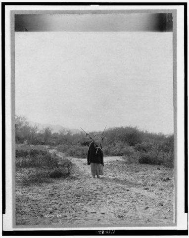 Pima woman, with burden basket on back, walking away from camera