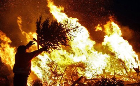 Christmas tree farm fire