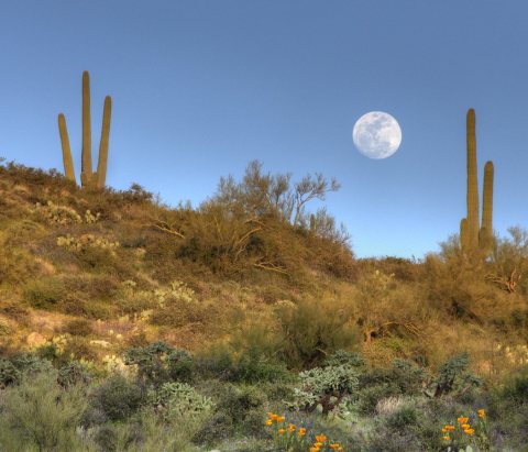 Moonrise