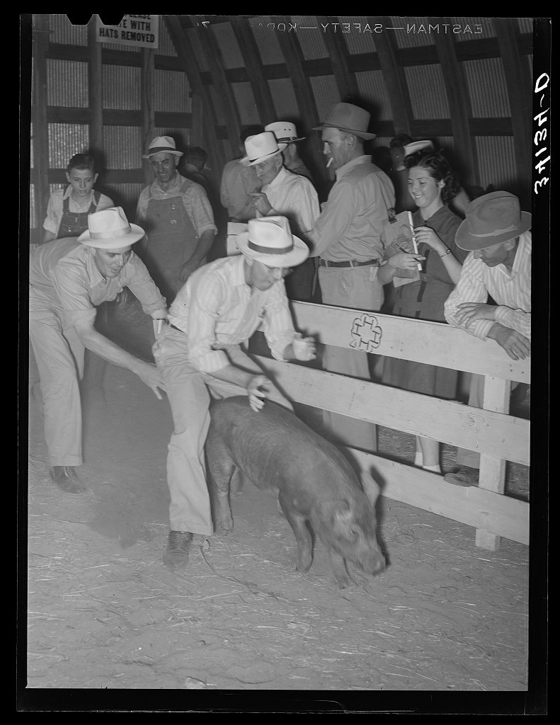 County agent at 4-H fair. Sublette, Kansas