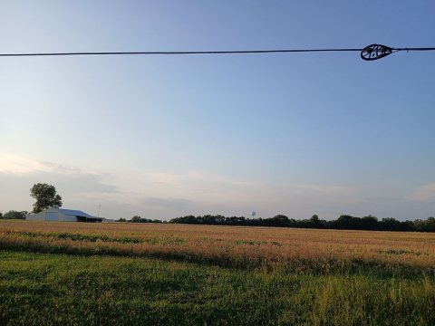 Field at the edge of