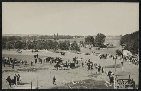 Fair grounds