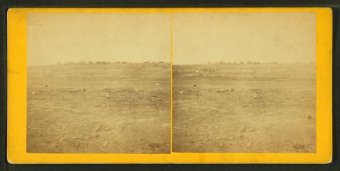 Prairie dog town, Abilene, Kansas, 447 miles west of St. Louis, Mo