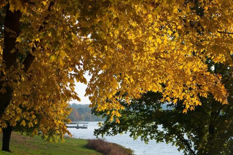 Autumn Morning Fishing