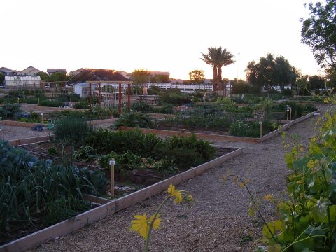 Gardening lots for rent at Agritopia